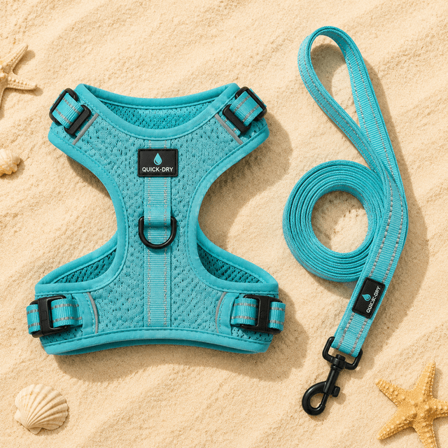 Harness & Leash