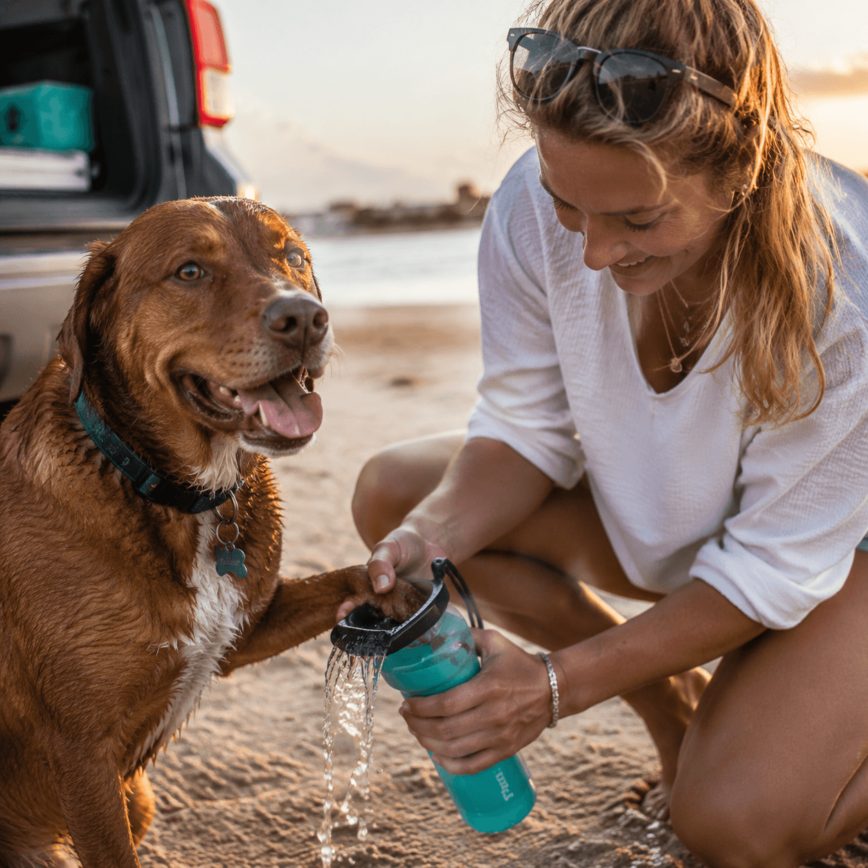 Beach Paw Wash Bottle in use on the beach