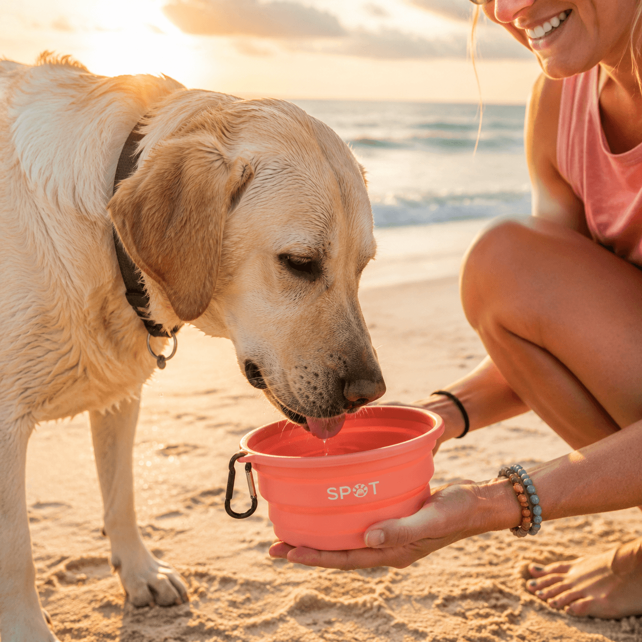 Collapsible Travel Bowl Trio in use on the beach